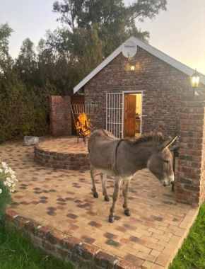Rivier-Plesier Cottage at Riggton River Farm